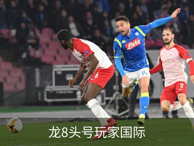 龙8头号玩家国际介绍